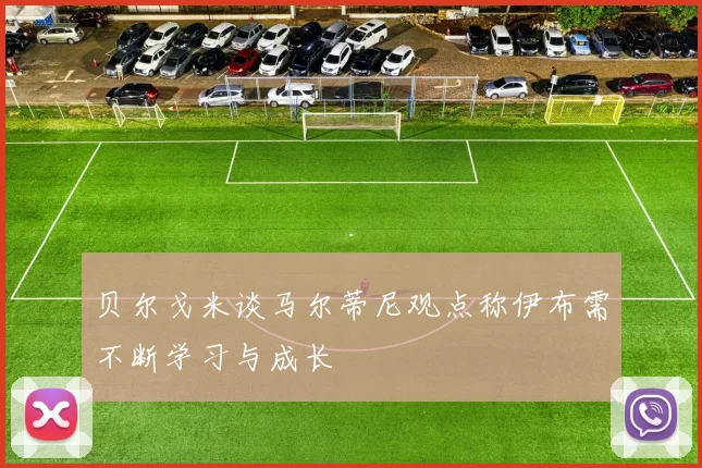 贝尔戈米谈马尔蒂尼观点称伊布需不断学习与成长